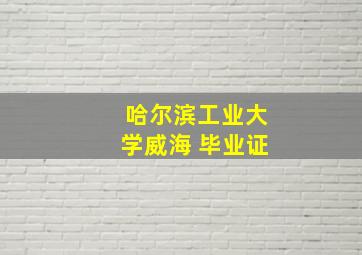 哈尔滨工业大学威海 毕业证